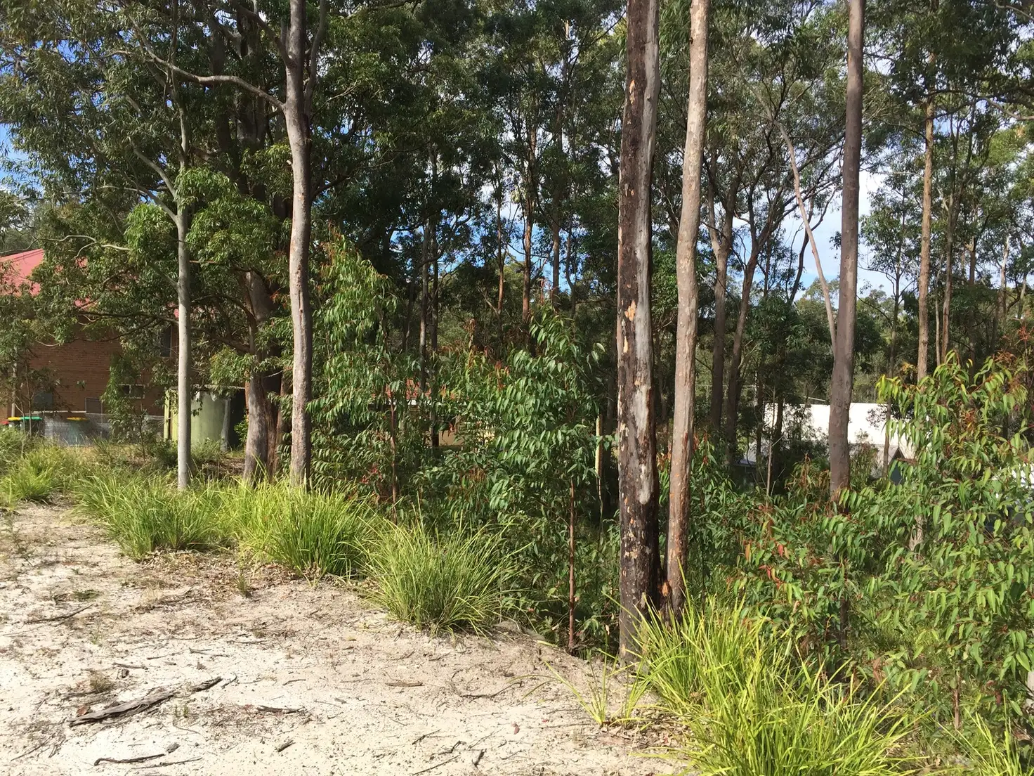 Main view of Homely land listing, 61 Curlew Crescent, Nerong NSW 2423