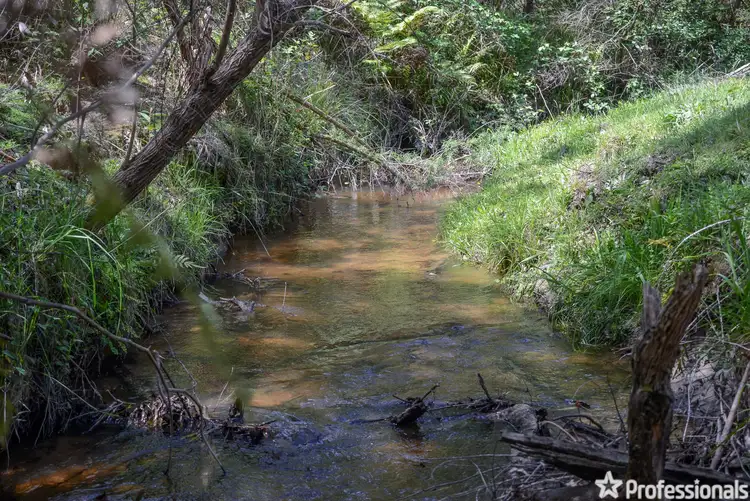 Fifth view of Homely house listing, 100 Britannia Creek Road, Wesburn VIC 3799