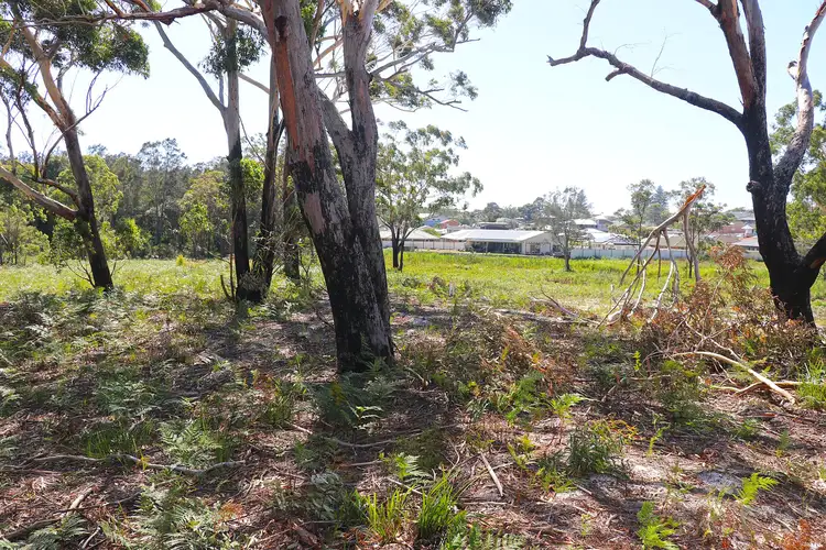 Fifth view of Homely rural property listing, 57 Hogan Street, Harrington NSW 2427