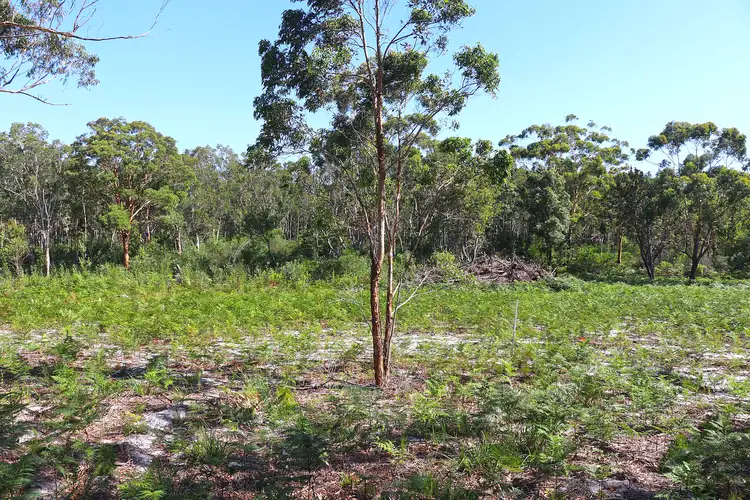 Seventh view of Homely rural property listing, 57 Hogan Street, Harrington NSW 2427