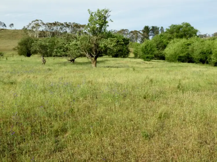Lot 25 Pomeroy Road