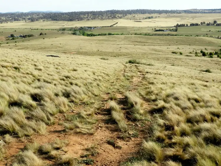 Sixth view of Homely rural property listing, Lot 25 Pomeroy Road, Goulburn NSW 2580