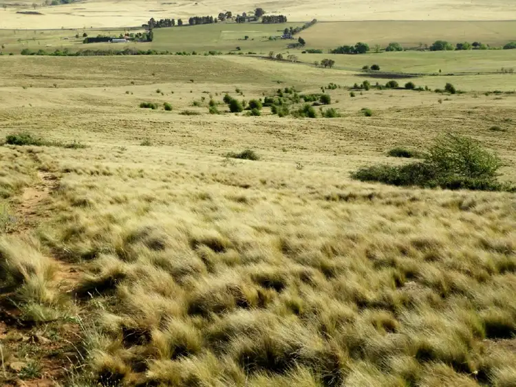 Seventh view of Homely rural property listing, Lot 25 Pomeroy Road, Goulburn NSW 2580