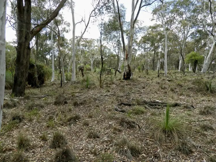 Seventh view of Homely rural property listing, Lot 4 Range Road, Goulburn NSW 2580