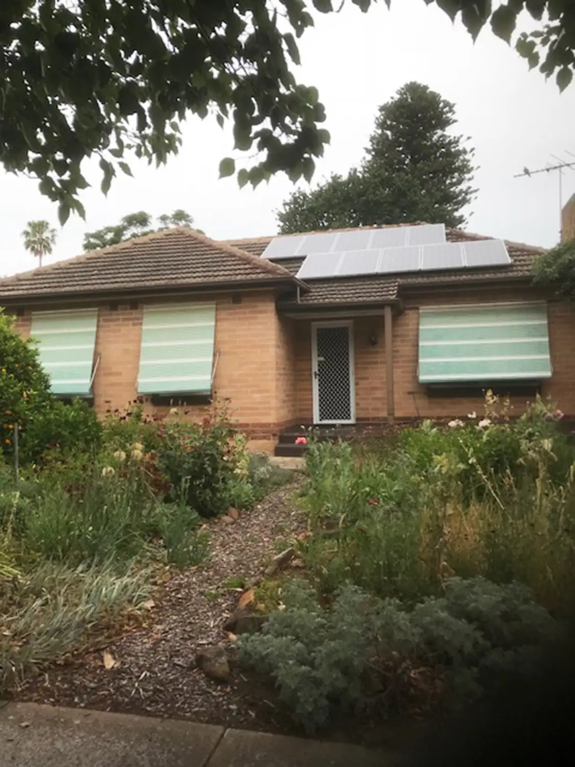 Main view of Homely house listing, 21 Wicks Avenue, Felixstow SA 5070