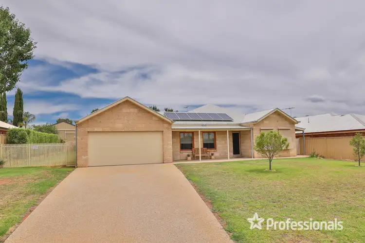 6 Robert Court, Gol Gol NSW 2738