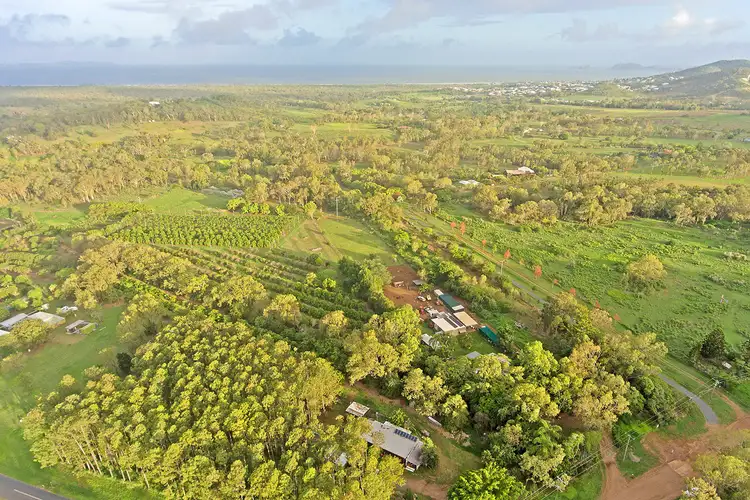 Fifth view of Homely rural property listing, Lot 1/0 Collins Road, Farnborough QLD 4703