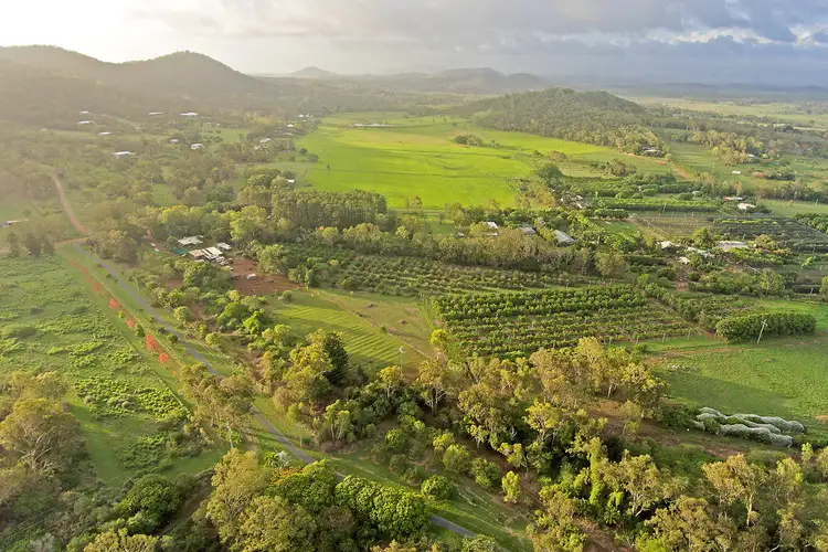 Seventh view of Homely rural property listing, Lot 1/0 Collins Road, Farnborough QLD 4703