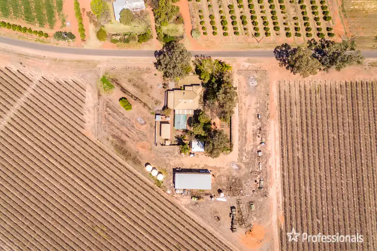 Seventh view of Homely house listing, 21 Potters Drive, Gol Gol NSW 2738