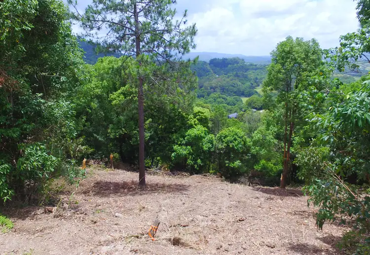 Third view of Homely rural property listing, Lot 1 Wilsons Creek Road, Wilsons Creek NSW 2482