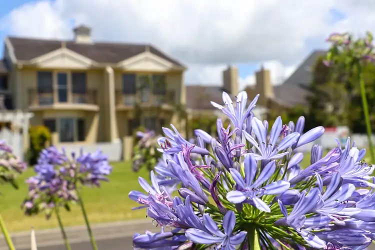 Seventh view of Homely townhouse listing, 24 Brunswick Place, Harrington NSW 2427