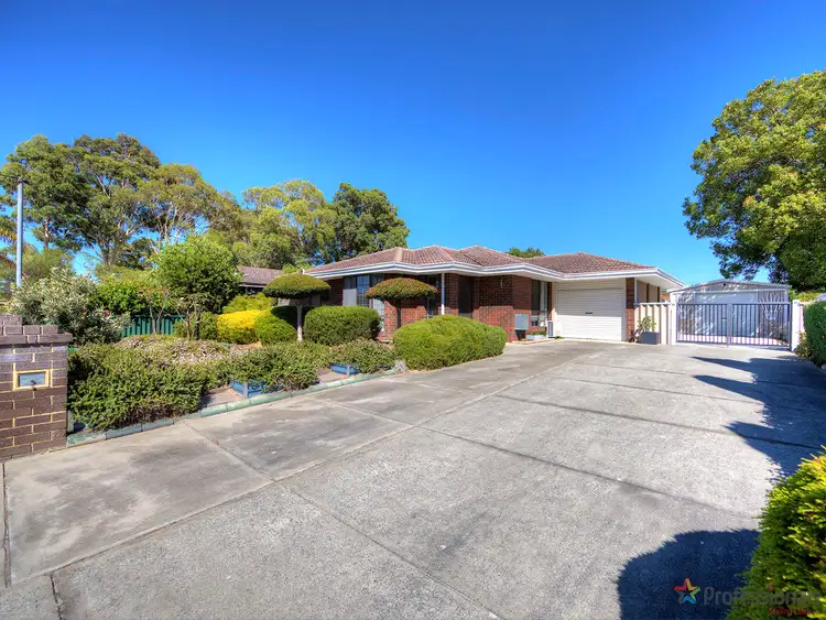 Fourth view of Homely house listing, 47 Mallee Way, Forrestfield WA 6058