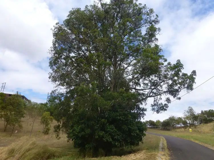 Fourth view of Homely land listing, Lot 14 Billy Green Drive, Villeneuve QLD 4514