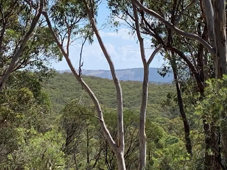 Main view of Homely rural property listing, 604 Lucky Pass Road, Currawang NSW 2580