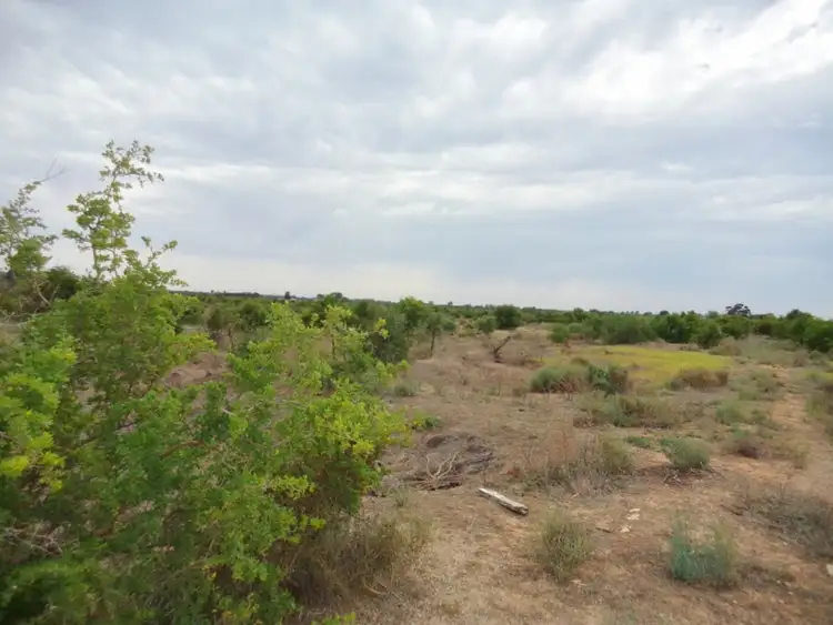 Second view of Homely land listing, 254 Tyntynder Road, Tyntynder VIC 3586