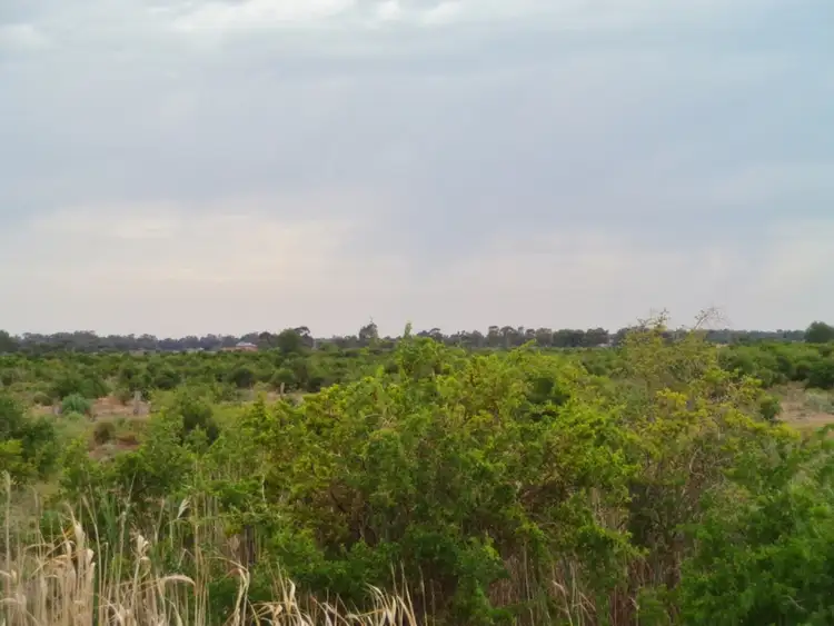 Third view of Homely land listing, 254 Tyntynder Road, Tyntynder VIC 3586