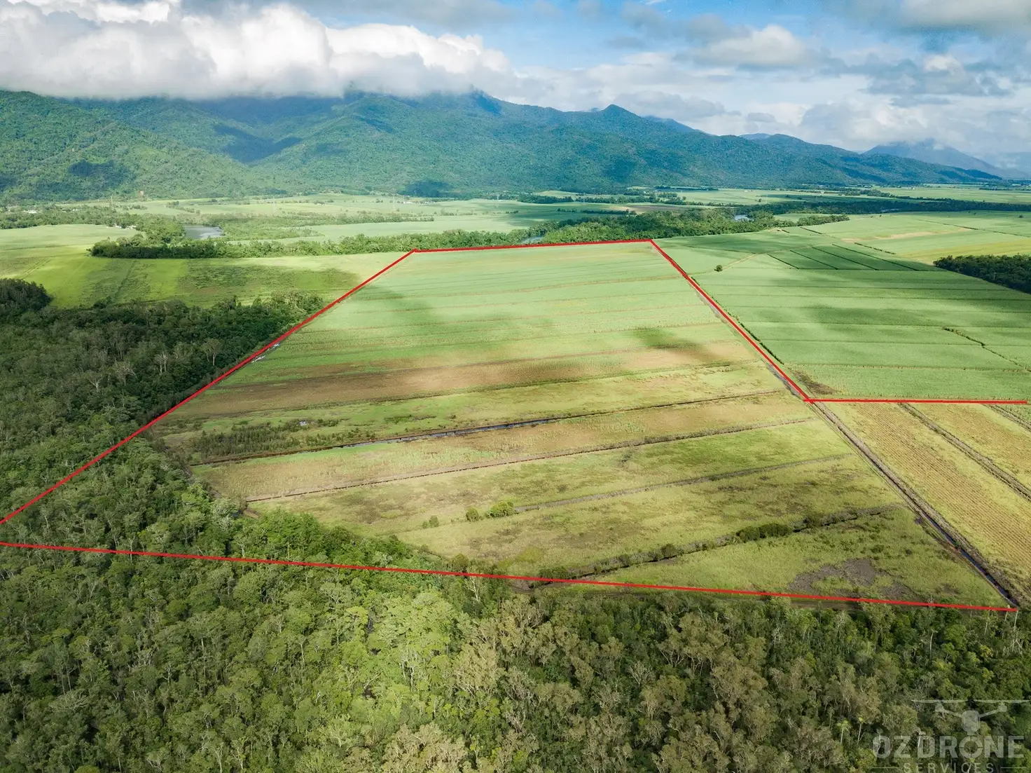 Main view of Homely rural property listing, Lot/2 Mulgrave River Esplanade, Aloomba QLD 4871