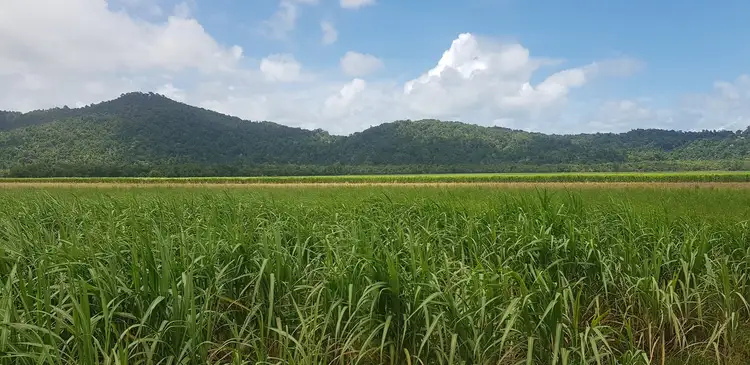 Third view of Homely rural property listing, Lot/2 Mulgrave River Esplanade, Aloomba QLD 4871