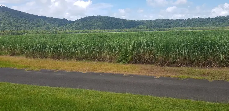 Fourth view of Homely rural property listing, Lot/2 Mulgrave River Esplanade, Aloomba QLD 4871