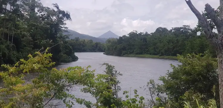 Fifth view of Homely rural property listing, Lot/2 Mulgrave River Esplanade, Aloomba QLD 4871