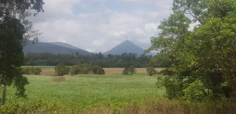 Second view of Homely rural property listing, 557 Barbagallo Road, Aloomba QLD 4871