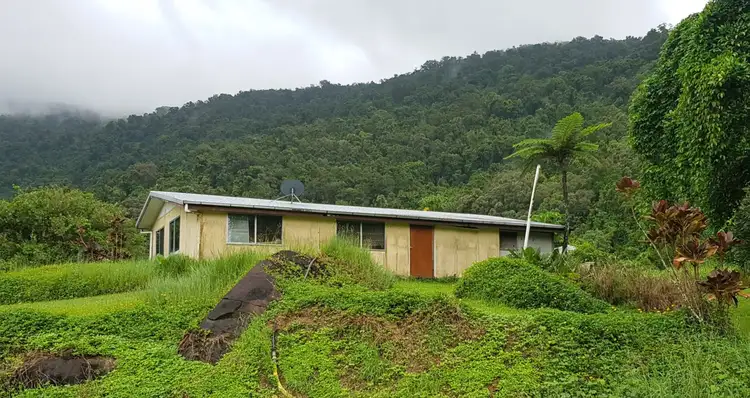 Third view of Homely rural property listing, 557 Barbagallo Road, Aloomba QLD 4871