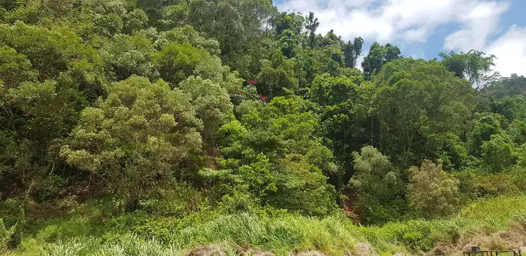 Fifth view of Homely rural property listing, 557 Barbagallo Road, Aloomba QLD 4871