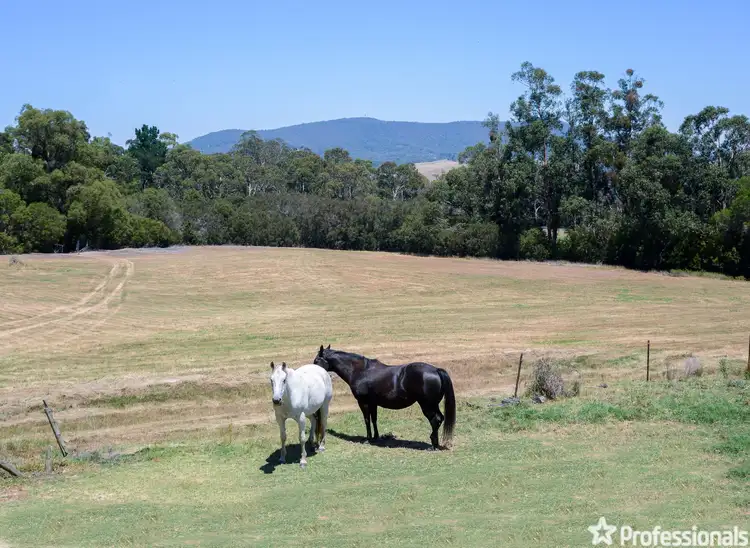 Third view of Homely house listing, 80 Pine Avenue, Healesville VIC 3777