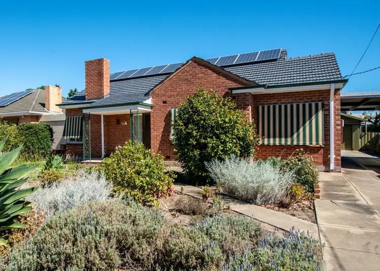 66 Lucas Street, Richmond SA 5033