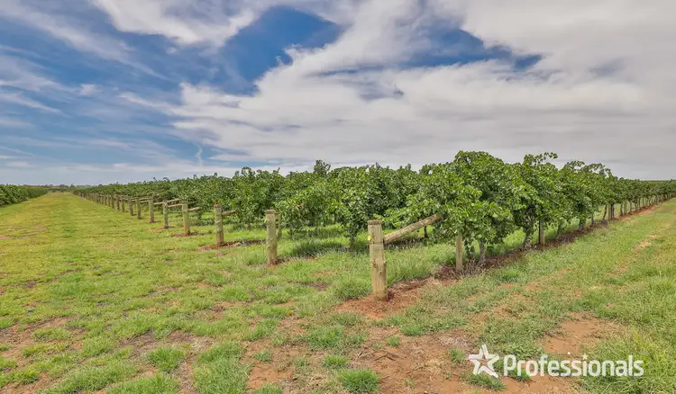 Fourth view of Homely rural property listing, 582 Nineteenth Street, Mildura VIC 3500