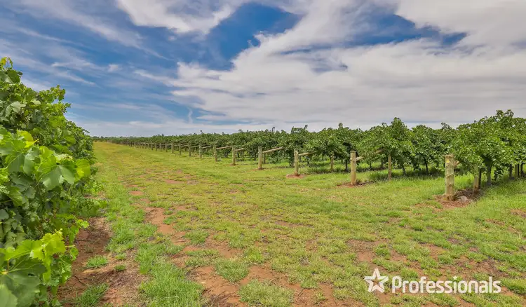 Fifth view of Homely rural property listing, 582 Nineteenth Street, Mildura VIC 3500