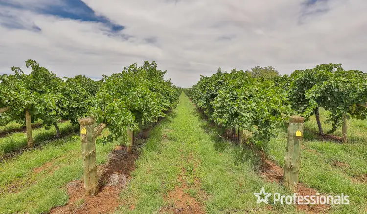Sixth view of Homely rural property listing, 582 Nineteenth Street, Mildura VIC 3500