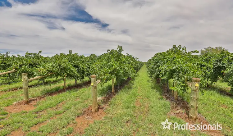 Seventh view of Homely rural property listing, 582 Nineteenth Street, Mildura VIC 3500