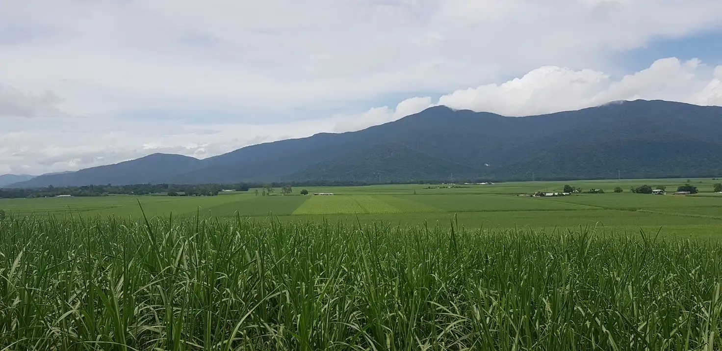 Main view of Homely rural property listing, 124 Moller Road, Aloomba QLD 4871