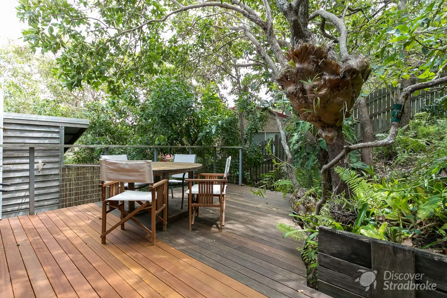 Main view of Homely house listing, 32 Samarinda Way, Point Lookout QLD 4183