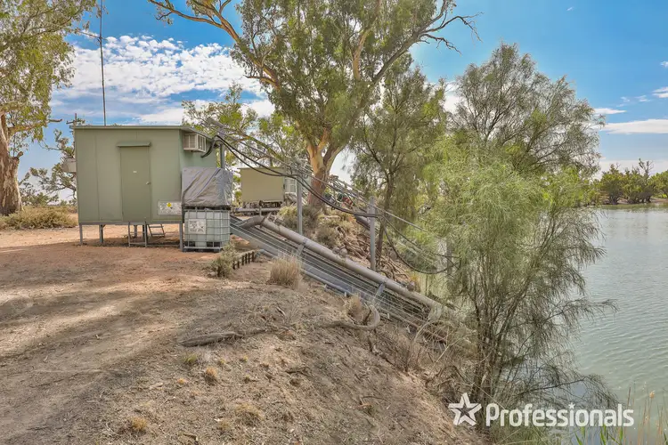 Fourth view of Homely rural property listing, 347 Lower Darling Road, Wentworth NSW 2648