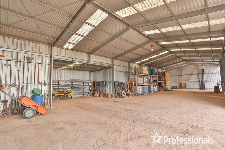 Sixth view of Homely rural property listing, 347 Lower Darling Road, Wentworth NSW 2648