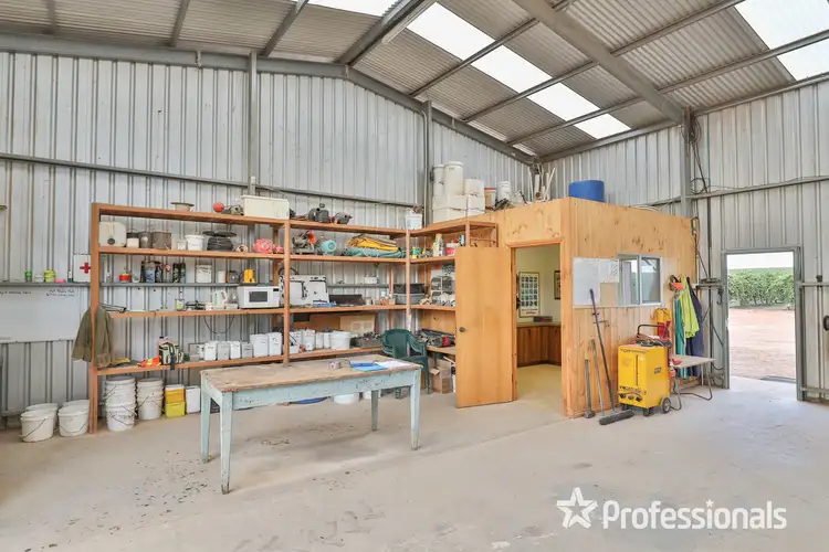 Seventh view of Homely rural property listing, 347 Lower Darling Road, Wentworth NSW 2648