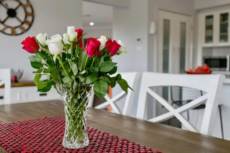 Sixth view of Homely rural property listing, 48 Mackellar Drive, Vacy NSW 2421