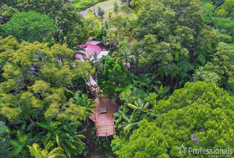 Fourth view of Homely rural property listing, 454 Upper Wilsons Creek Road, Upper Wilsons Creek NSW 2482