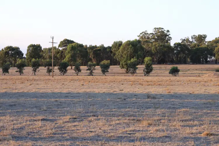 Fifth view of Homely rural property listing, 80 Baynes Road, Murchison VIC 3610