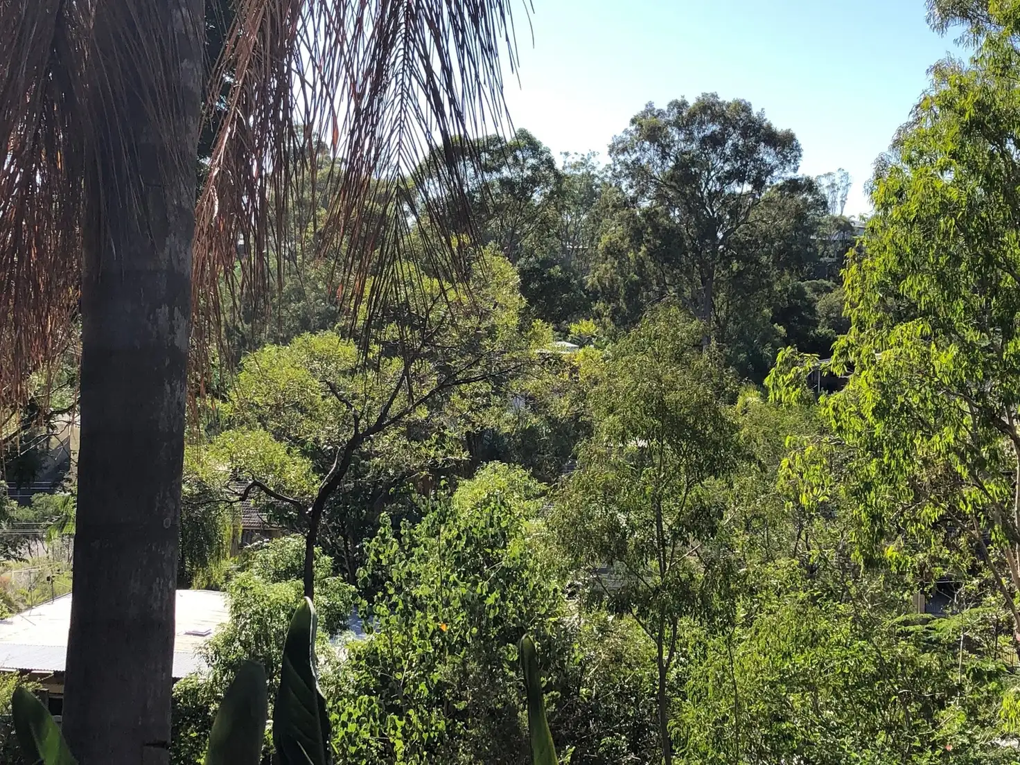 Main view of Homely house listing, 12 Tabulam Drive, Ferny Hills QLD 4055