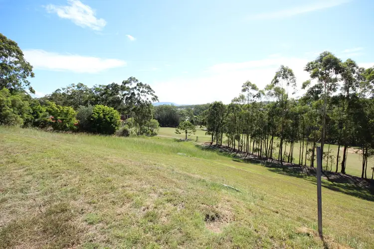 Third view of Homely land listing, 3 Golden Wattle Way, Tallwoods Village NSW 2430