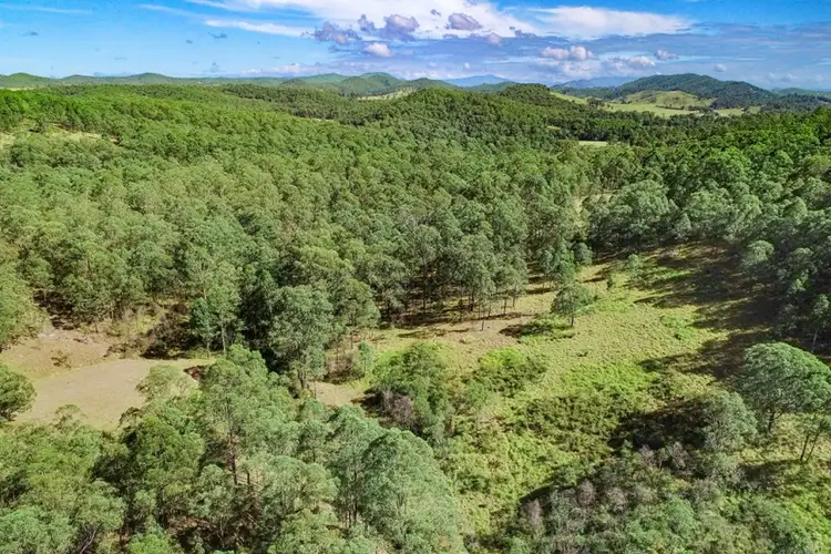 Sixth view of Homely rural property listing, Lot 2/200 Blackcamp Road, Stroud NSW 2425