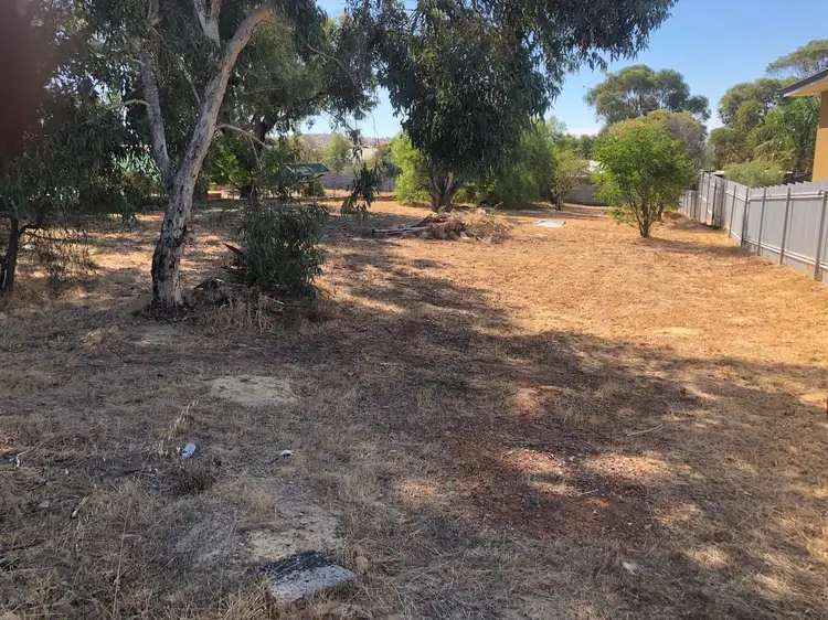 111 Throssell Street, Northam WA 6401