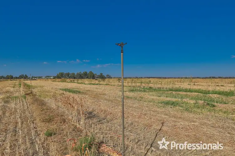 Fifth view of Homely rural property listing, 62 Cootamundra Avenue, Red Cliffs VIC 3496