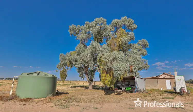 Sixth view of Homely rural property listing, 62 Cootamundra Avenue, Red Cliffs VIC 3496