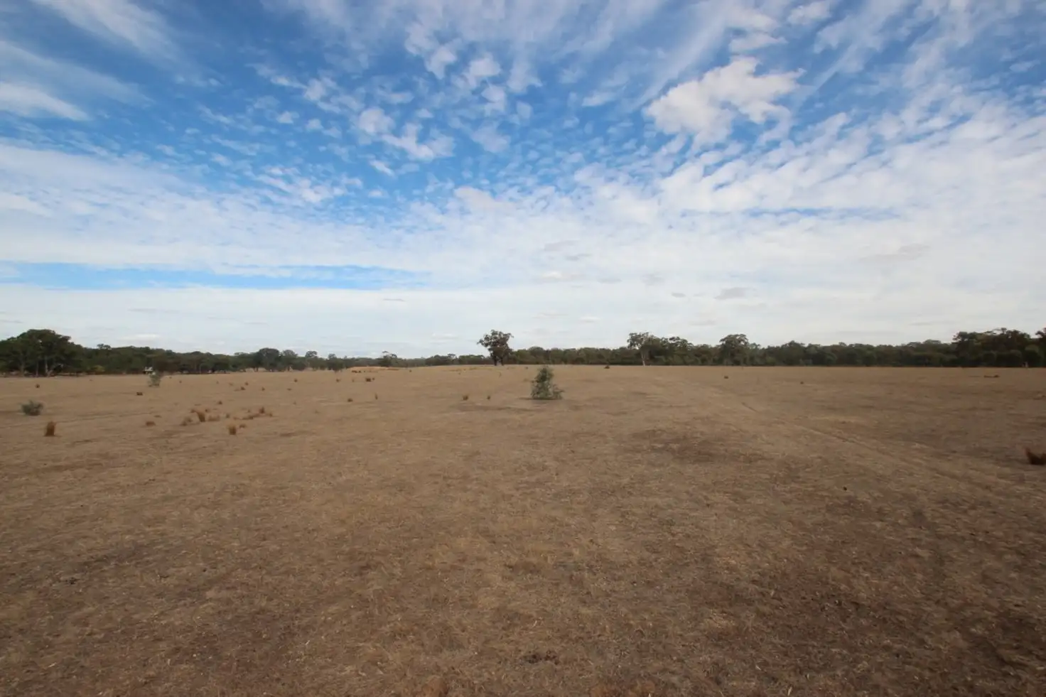Main view of Homely rural property listing, 180 Halls Road, Talbot VIC 3371