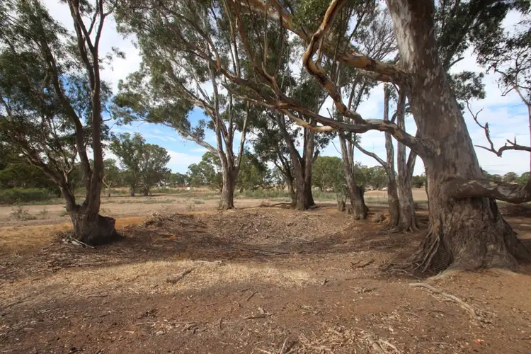 Fourth view of Homely rural property listing, 180 Halls Road, Talbot VIC 3371