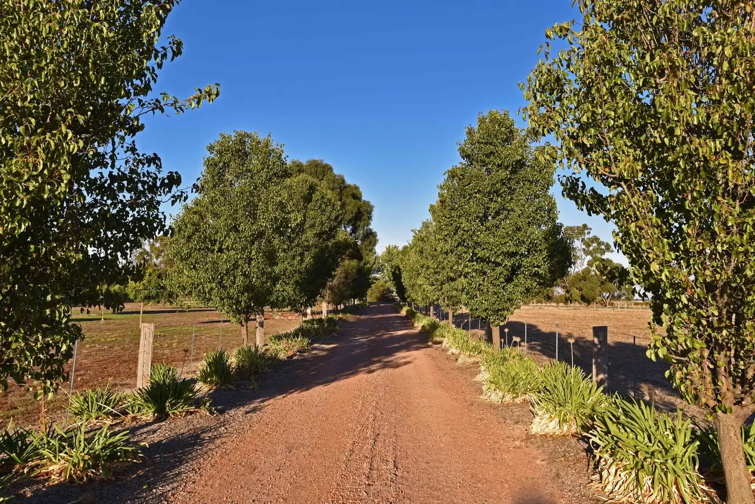 Main view of Homely rural property listing, 595 Shepparton - Zeerust Road, Zeerust VIC 3634